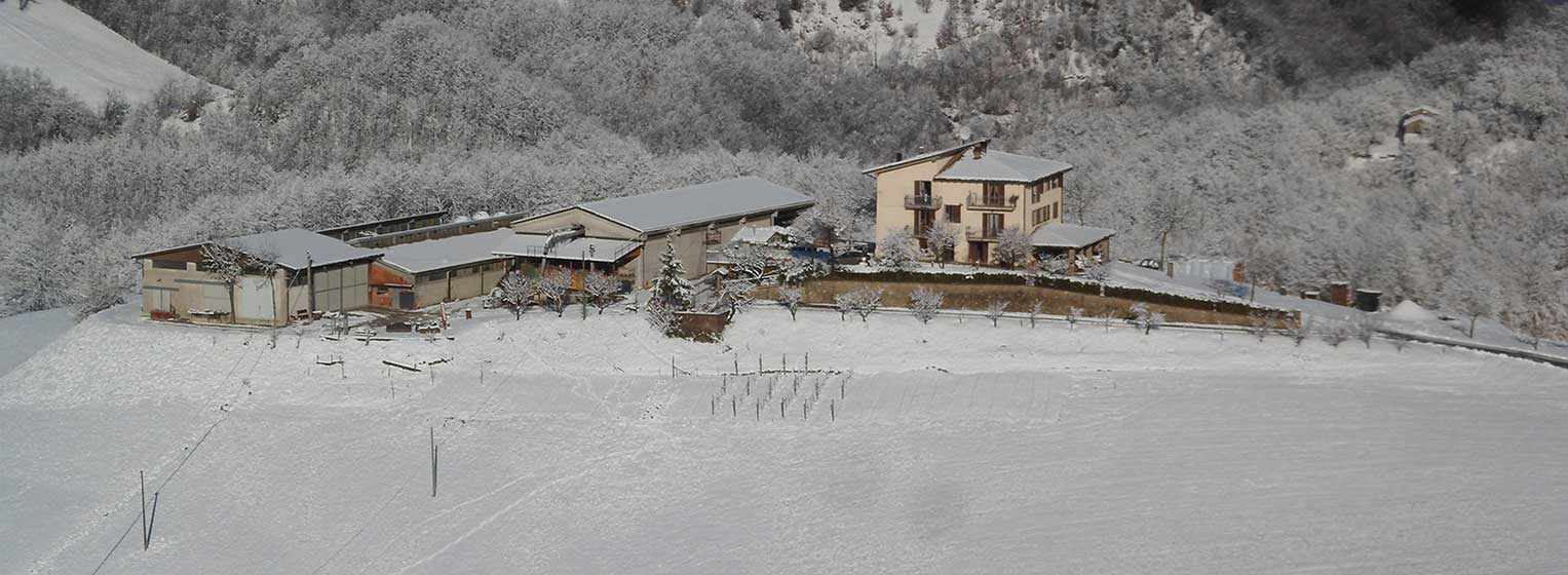 Il podere La Padulla in inverno