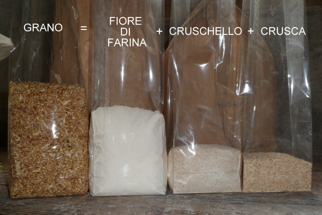 Dal nostro grano: fiore di farina, cruschello e crusca