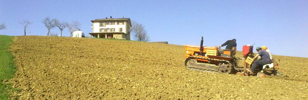 Lavori nei campi della Padulla