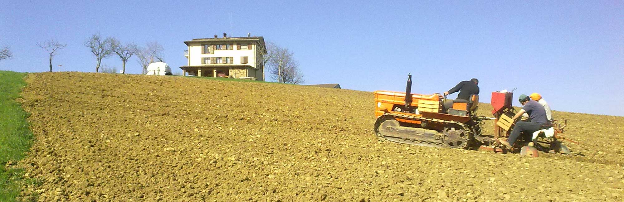 Metodi tradizionali di raccolta delle patate